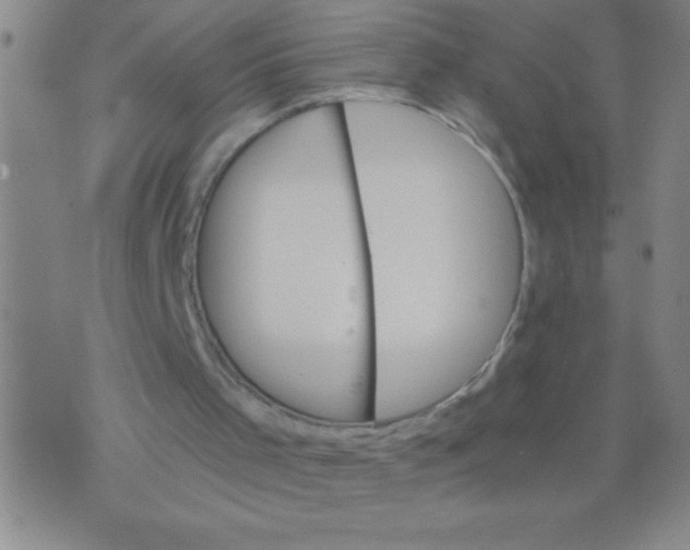 X0000075840001200610061859