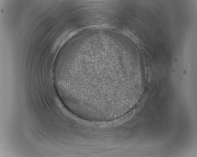 X0000075840002200610061859