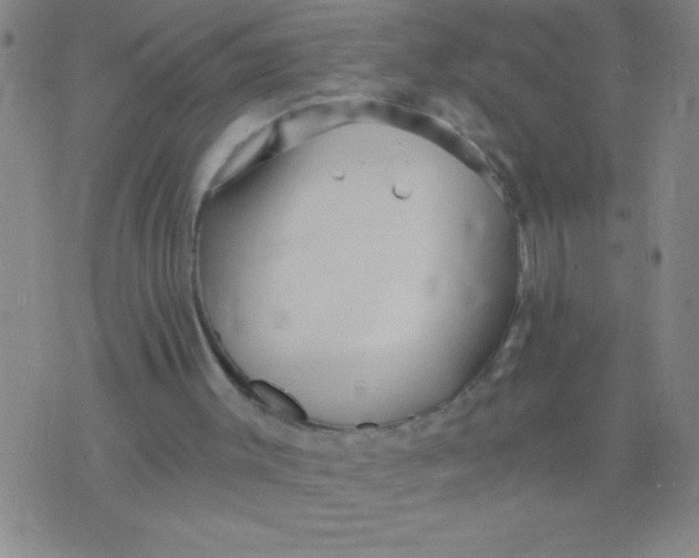 X0000075840003200610061859