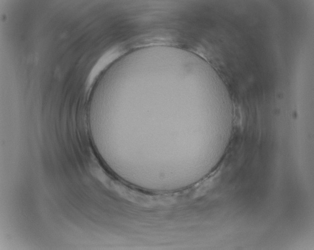 X0000075840004200610061858