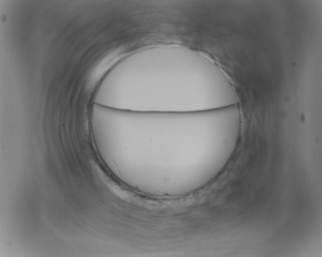 X0000075840005200610061858