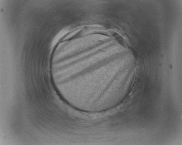 X0000075840006200610061858