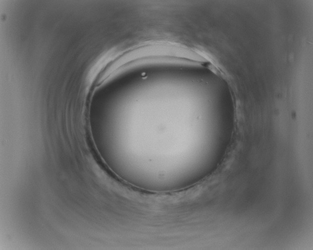 X0000075840007200610061858