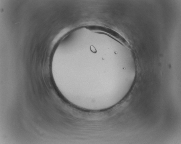 X0000075840008200610061858