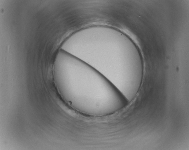 X0000075840009200610061858