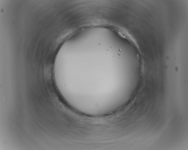 X0000075840010200610061858