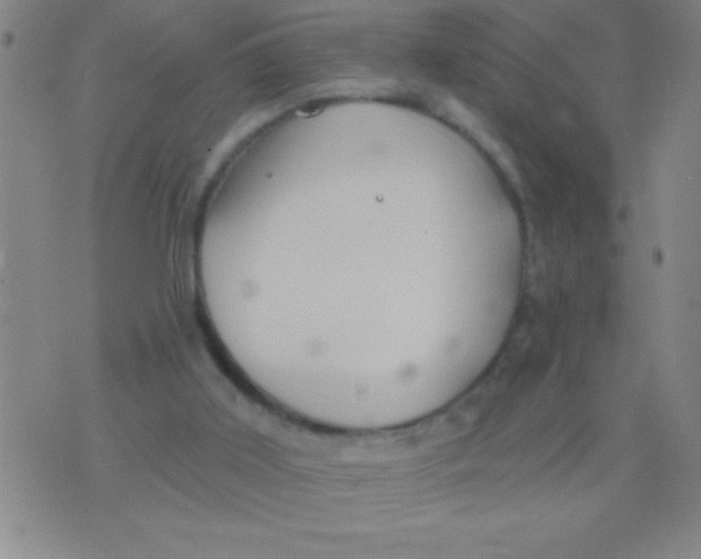 X0000075840011200610061858