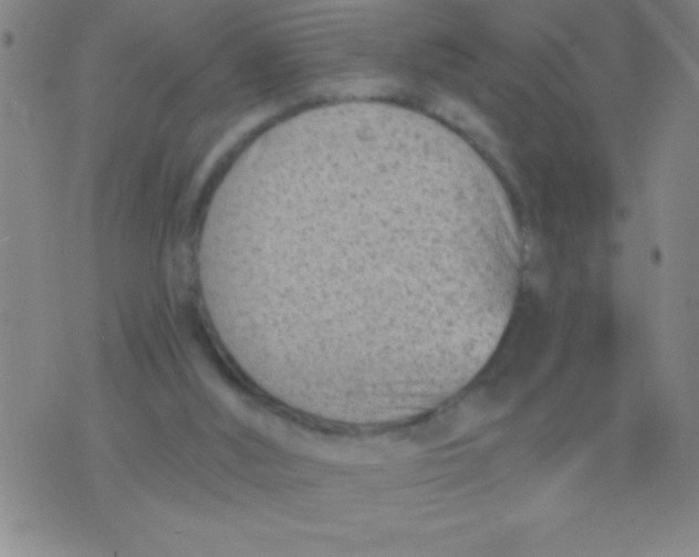 X0000075840012200610061858