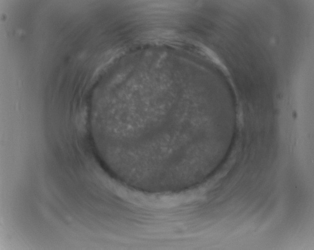 X0000075840018200610061858