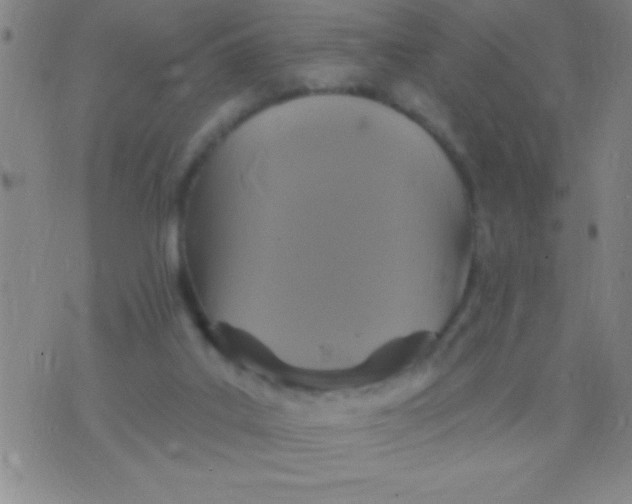 X0000075840019200610061858