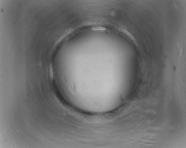 X0000075840020200610061858