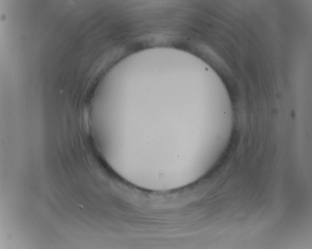 X0000075840022200610061858