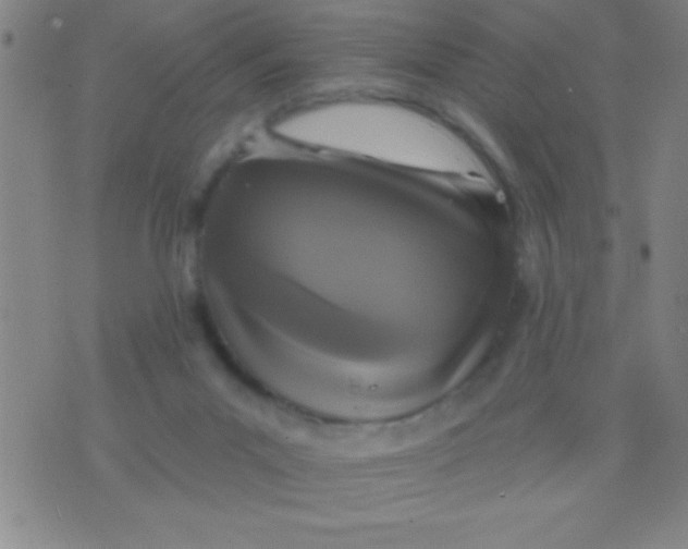 X0000075840023200610061858