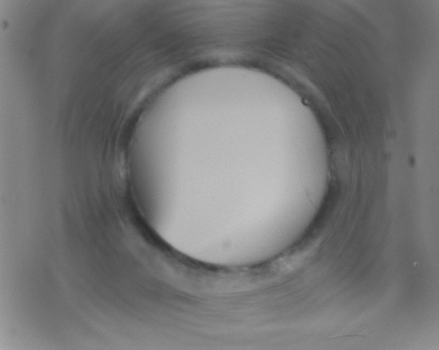 X0000075840024200610061858