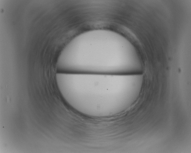 X0000075840025200610061858