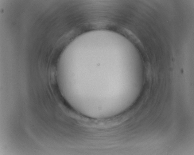 X0000075840026200610061858