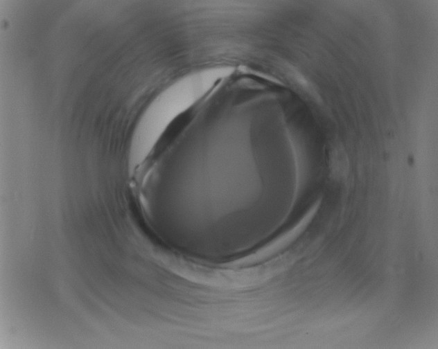 X0000075840027200610061858