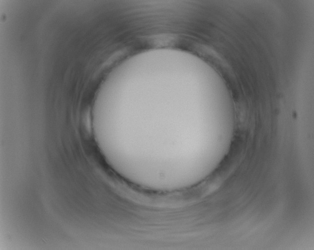 X0000075840028200610061858