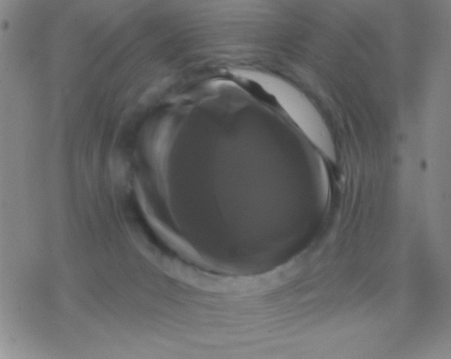 X0000075840031200610061858