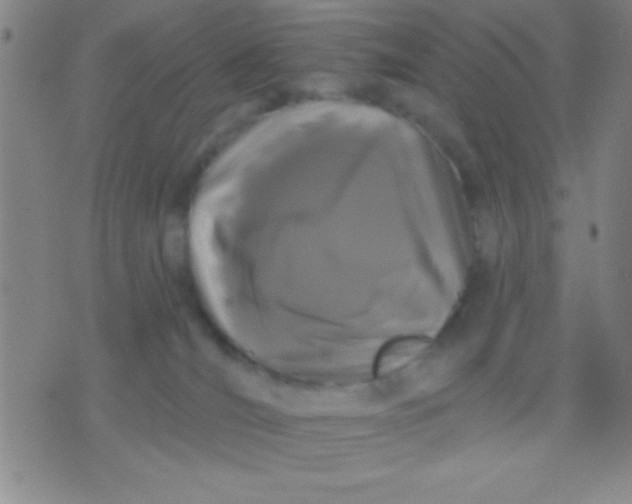 X0000075840036200610061858