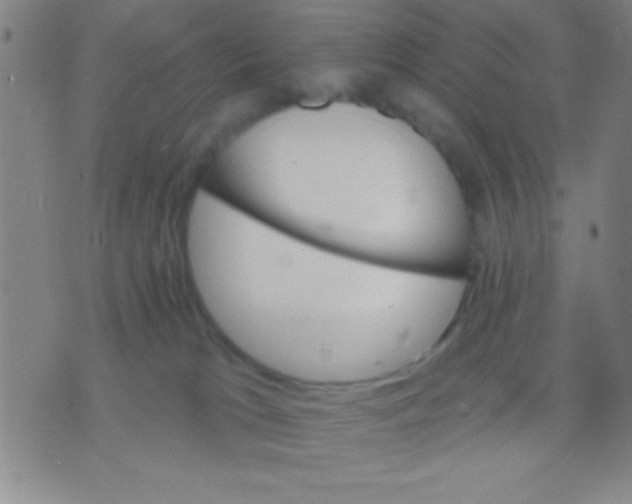 X0000075840037200610061858