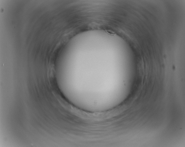 X0000075840038200610061858