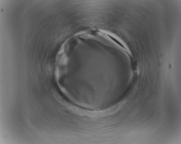 X0000075840039200610061858