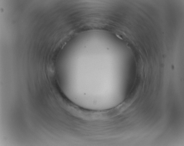 X0000075840040200610061858