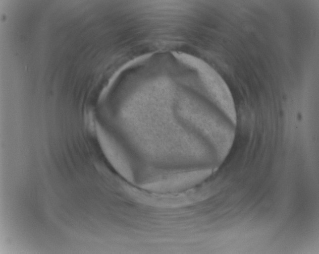 X0000075840042200610061858