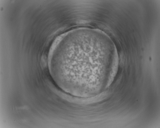 X0000075840043200610061858