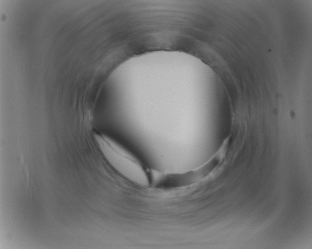 X0000075840045200610061858