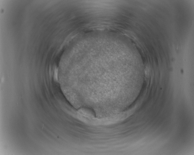 X0000075840046200610061858