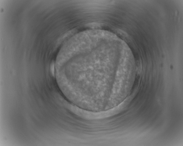 X0000075840047200610061858