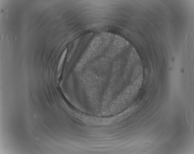 X0000075840048200610061858