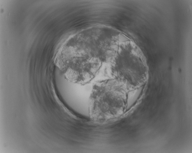 X0000075840049200610061857