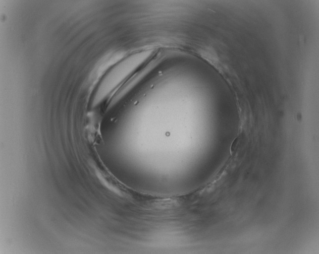 X0000075840050200610061857