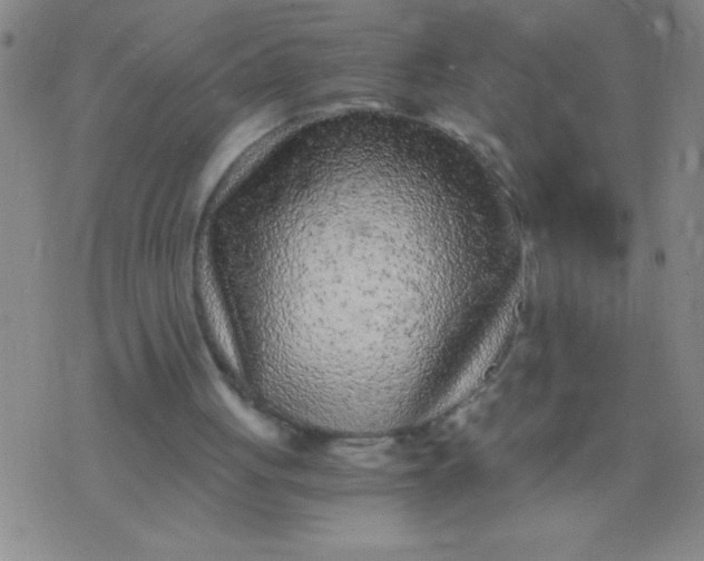 X0000075840051200610061857