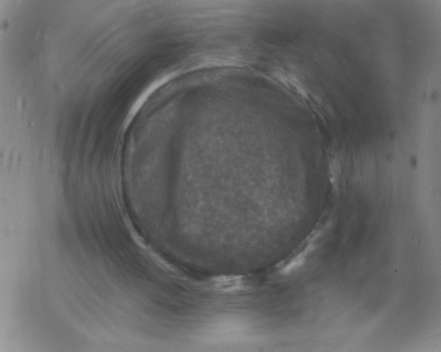 X0000075840052200610061857