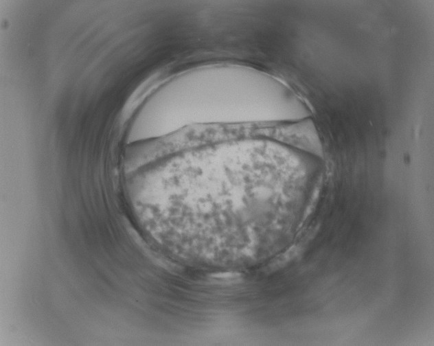 X0000075840053200610061857