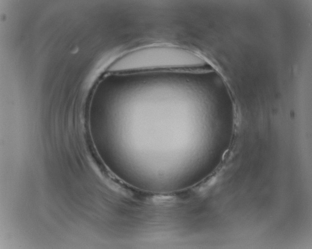 X0000075840055200610061857