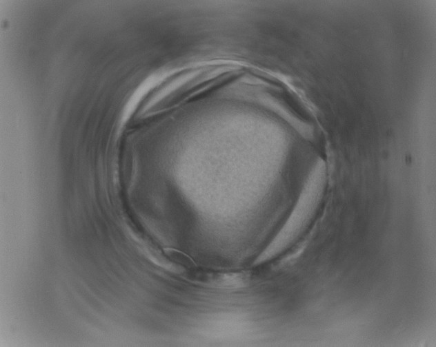 X0000075840056200610061857