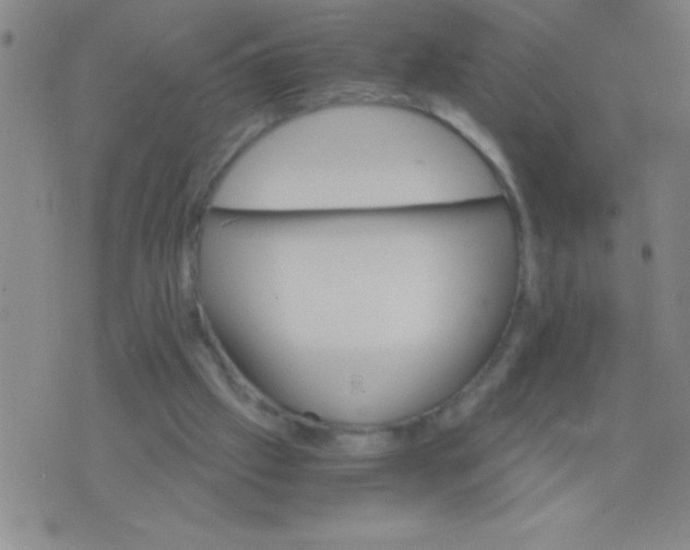 X0000075840057200610061857