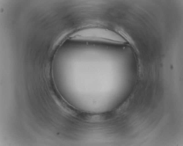 X0000075840058200610061857