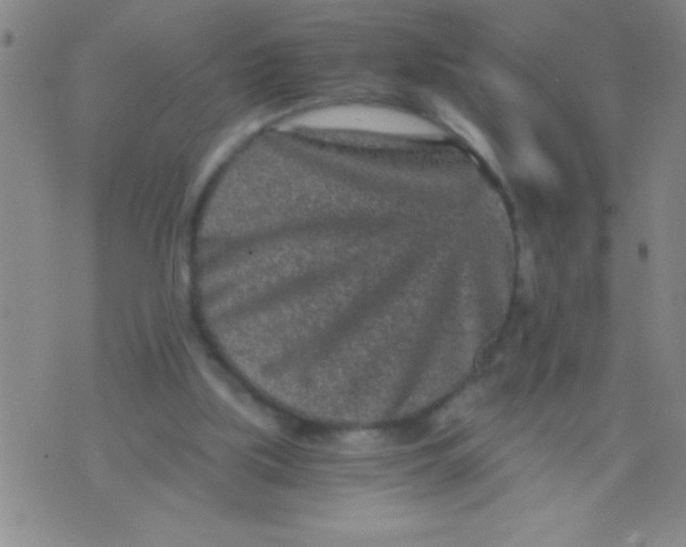 X0000075840059200610061857