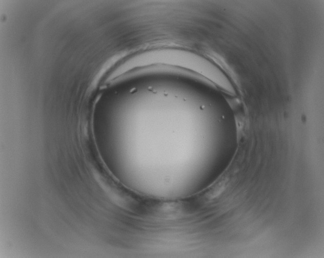 X0000075840060200610061857