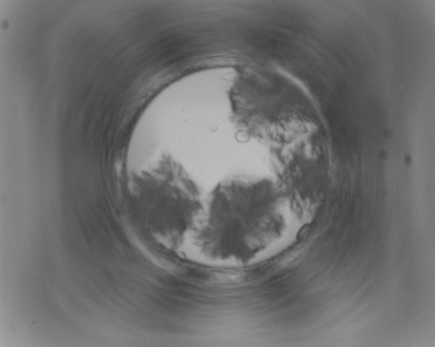 X0000075840061200610061857