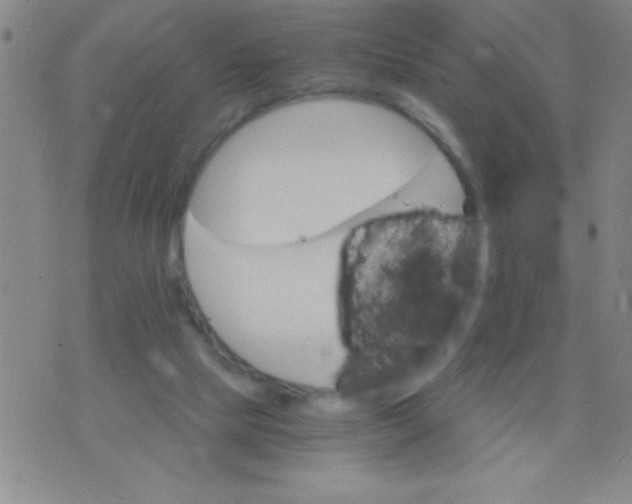 X0000075840065200610061857