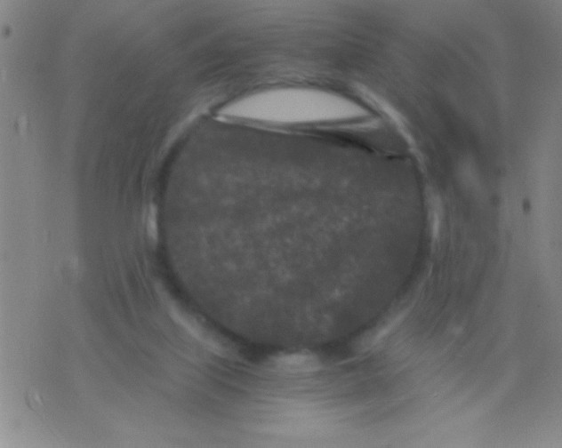 X0000075840067200610061857