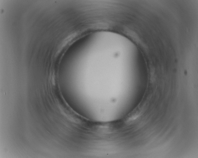 X0000075840068200610061857