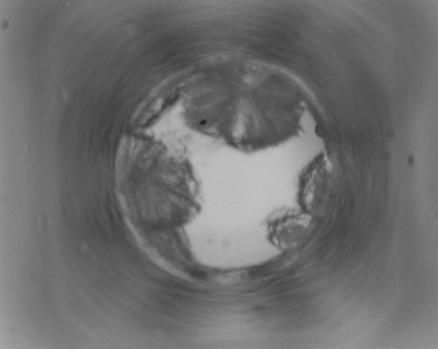 X0000075840069200610061857